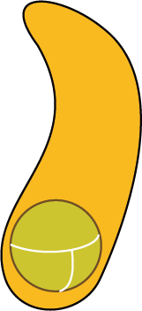 金探子 Flag / Snitch